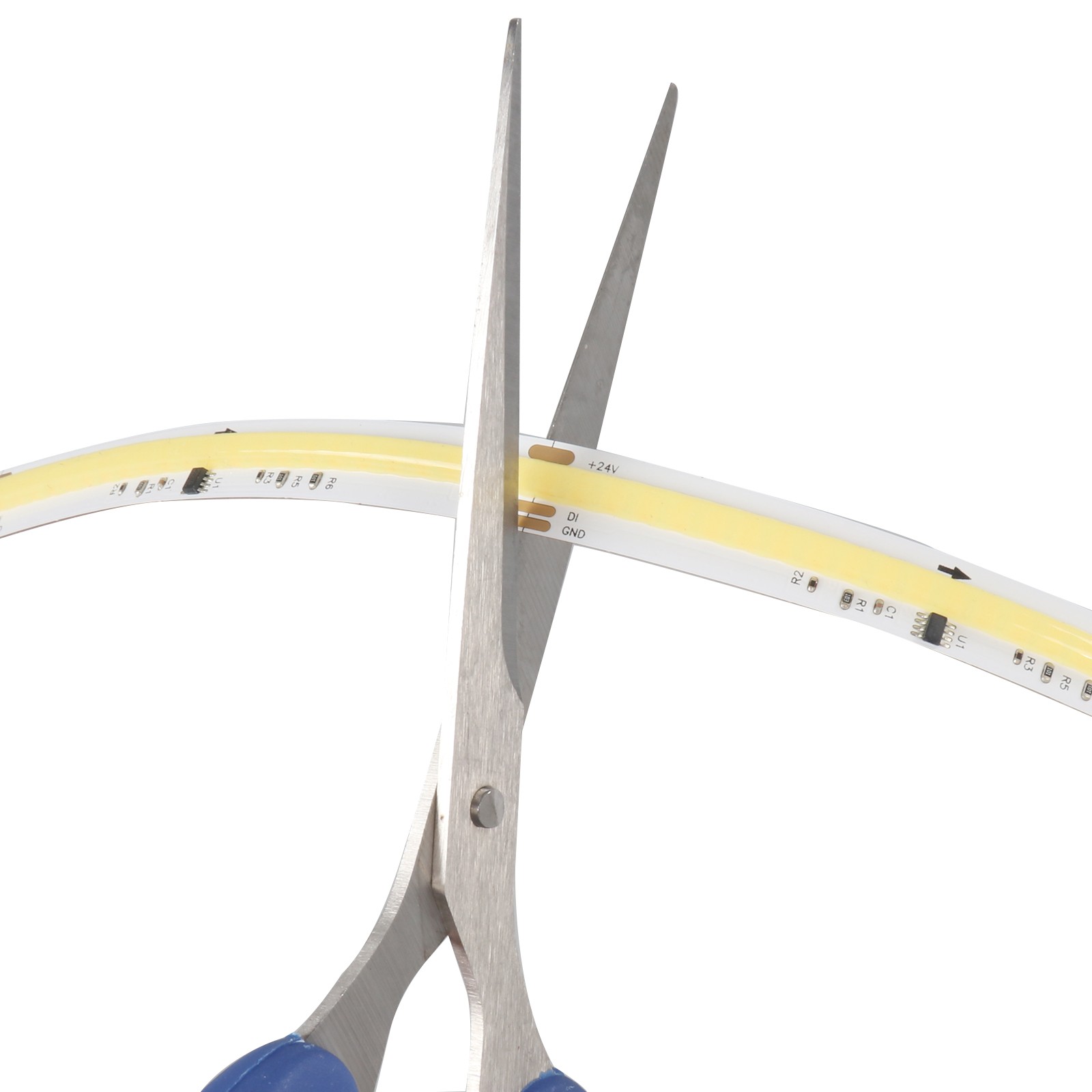 FCOB576 IC-24-M10-DC