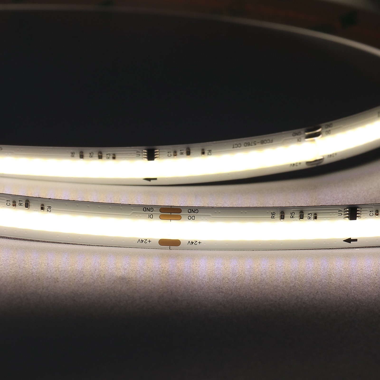 FCOB576 IC-24-M10-DC