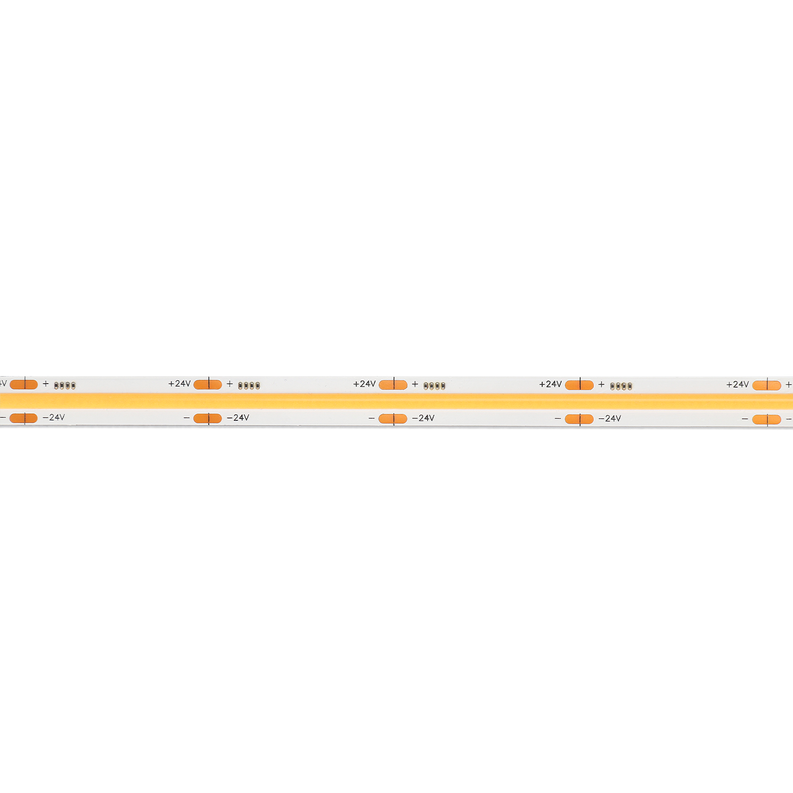 FCOB546-24-M10