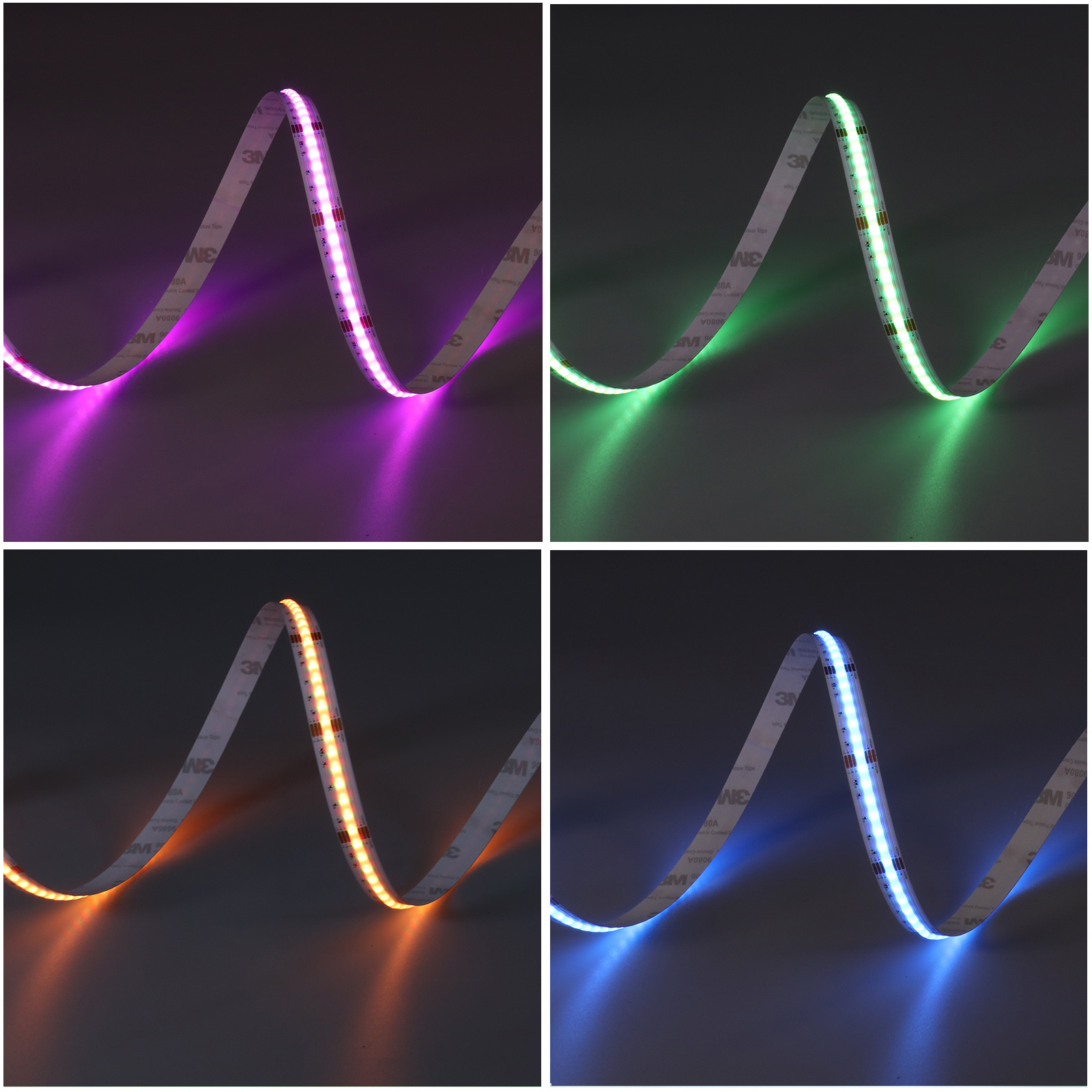 FCOB840RGBCCT-24-M12