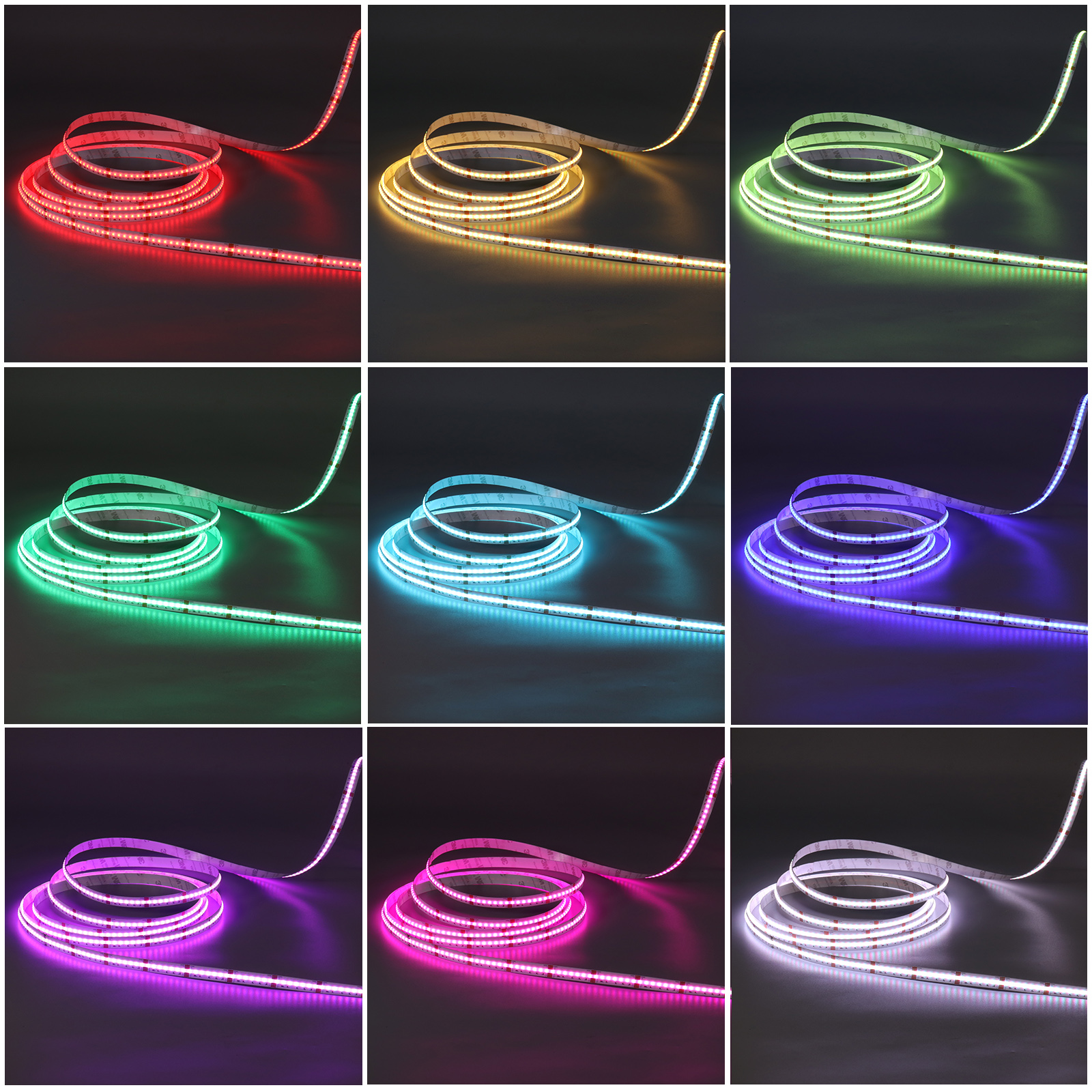 FCOB840RGBCCT-24-M12