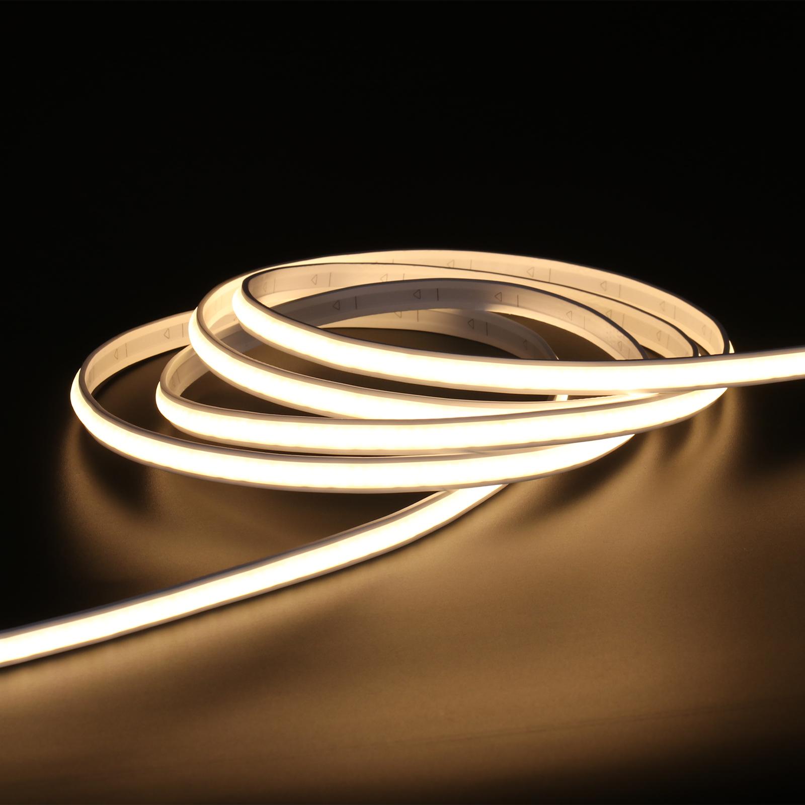 F-NEON-280 — image 4