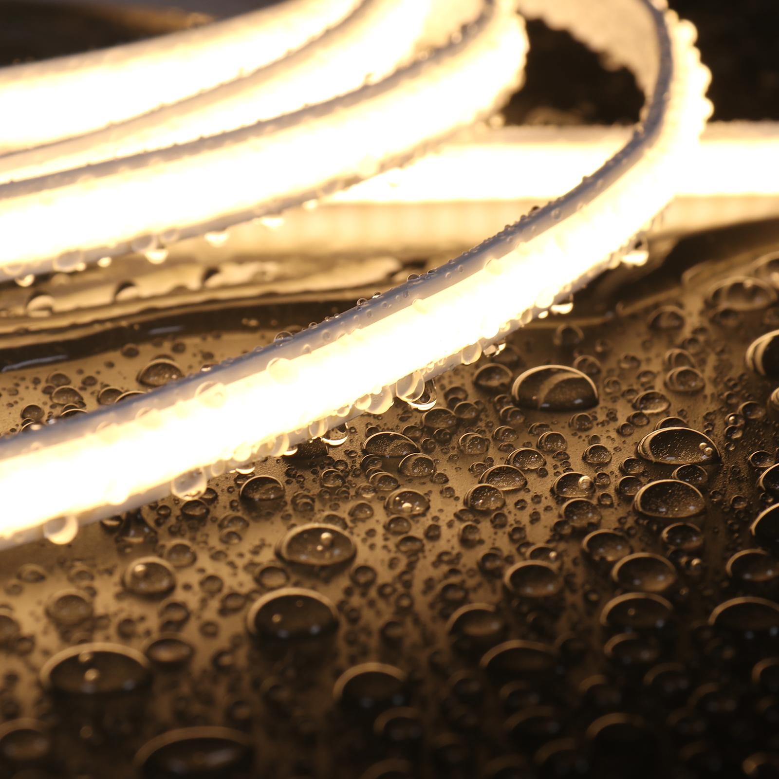 F-NEON-280 — image 7