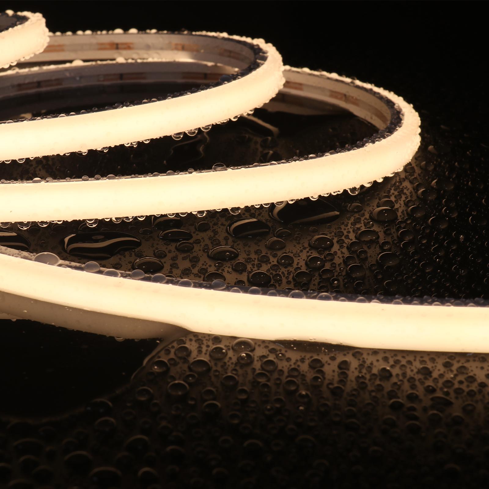 N1010D-TS — image 6