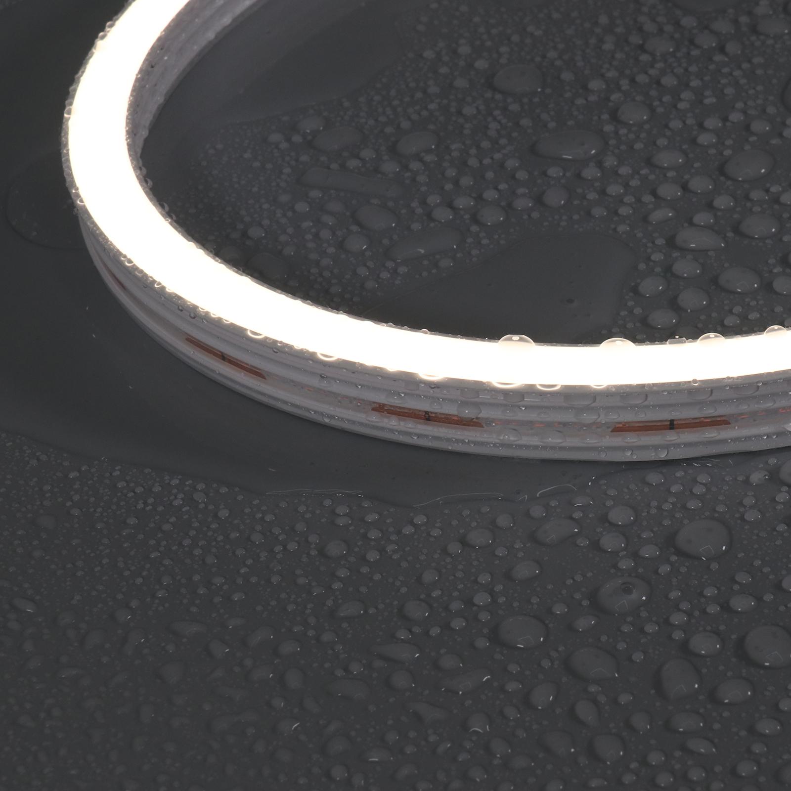 N1220T — image 4
